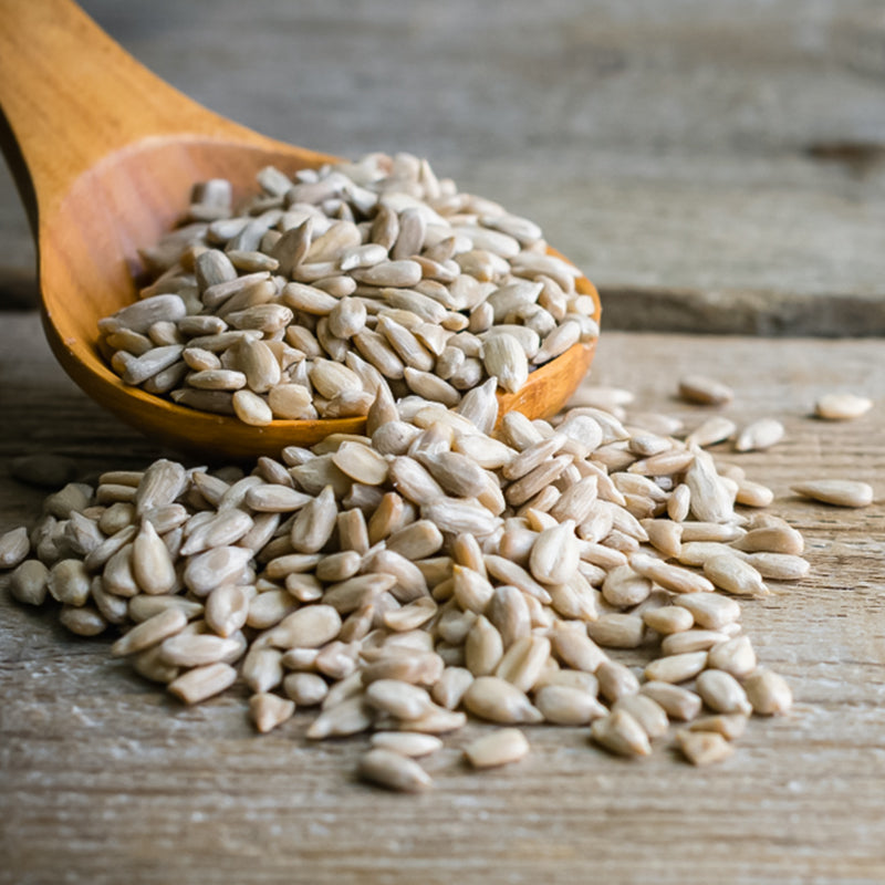 Sunflower Seeds